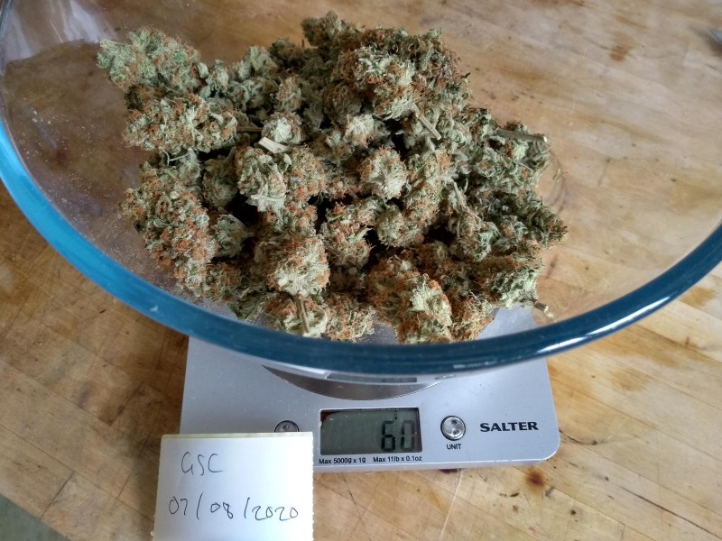 IMG_20200707_112017162_HDR