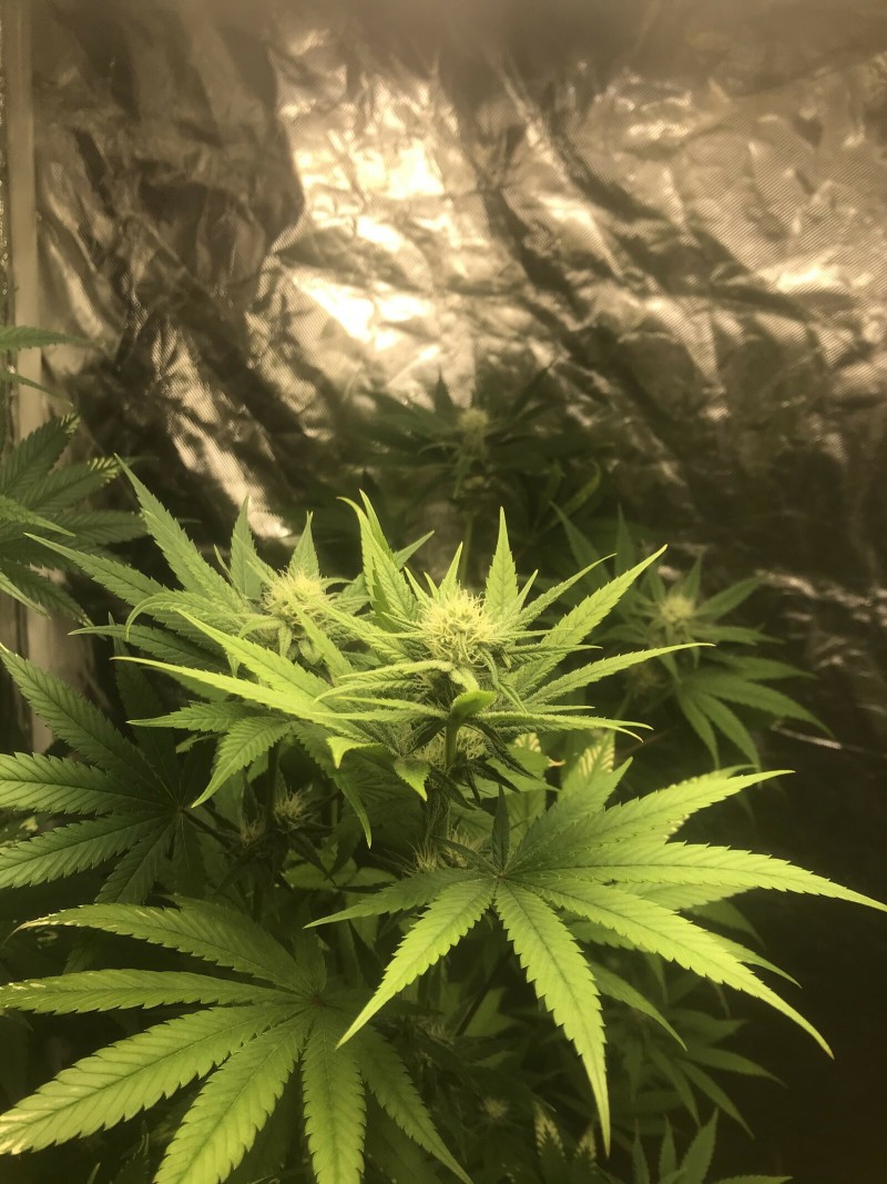 BCA12529-4E96-4541-8A02-4365AC707597