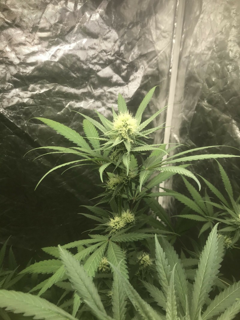 0A370C40-4A3C-4530-80D6-54E08B345AF5