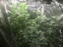 8FCF38F9-AAF6-47F0-A80D-08C6E9593150