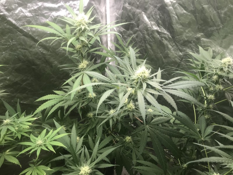 B9E4416A-1E67-49C5-A2DA-E150DCD7FEAF