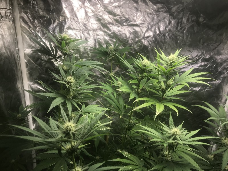 9A194D6A-D23D-48EF-AA2E-BEB90389D230