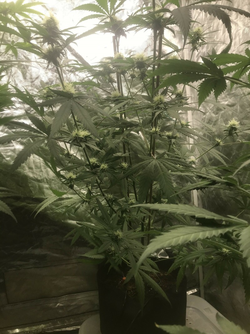 EAD5B94D-F1C4-410C-9922-C089C20B4DCA