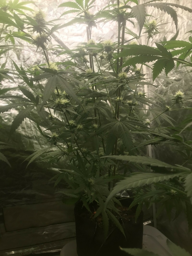 61A8EC94-5FC2-4D3B-A00B-E4E7422C98D2