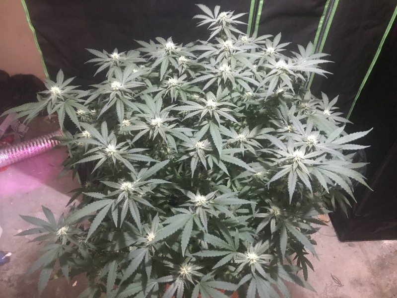 FBF63246-62FE-469B-AF98-A550888E86E4