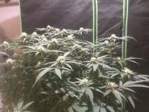 658E3128-BE46-43E9-8020-130B261360C9