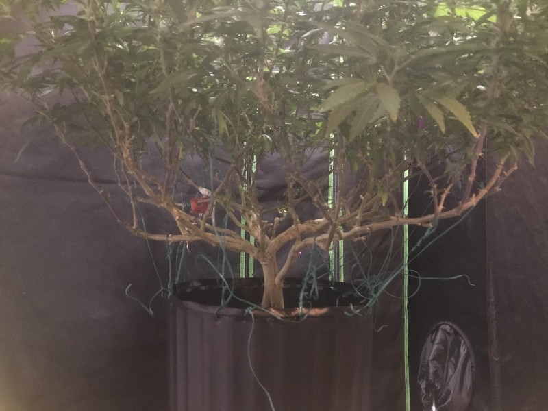 B8B67B12-1D12-4DCA-AAA9-65F9AE005442