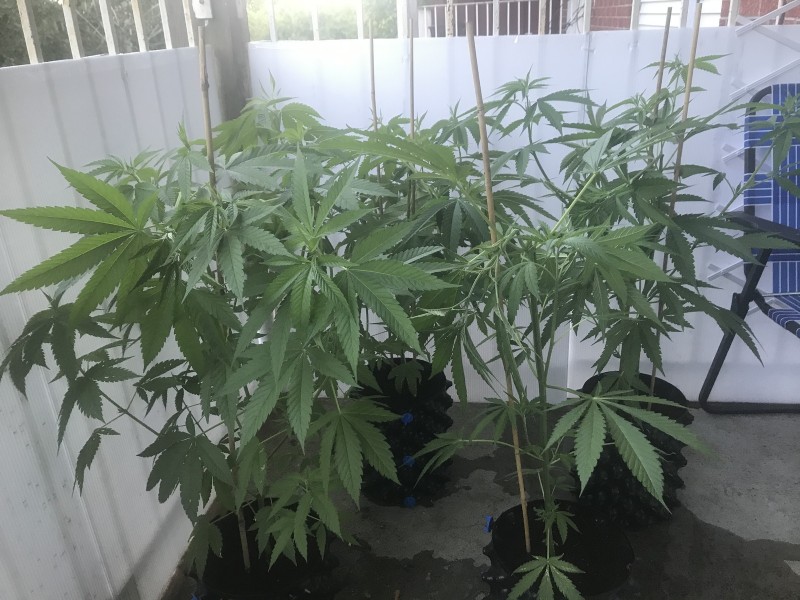 8FD4A19C-2049-4736-A030-C64F3AAA331F