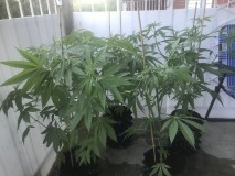 8FD4A19C-2049-4736-A030-C64F3AAA331F