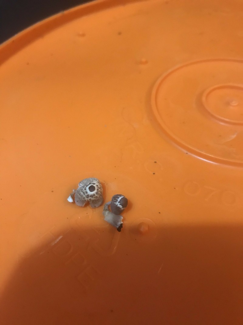 85190E43-5097-4BC9-B412-F24FC72E80D5