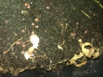 DBBF386A-DFAA-4F08-AE20-4C144D2B7739