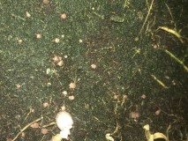 79E195C4-F7D8-4C07-B0CD-C63B33FBA4DA