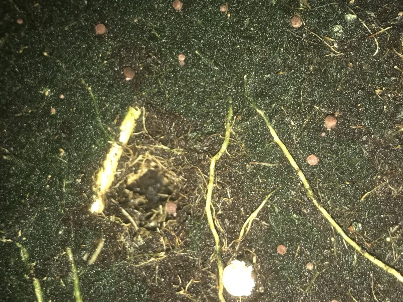 8BC897CF-47FE-4246-8029-20FCA51DC35B