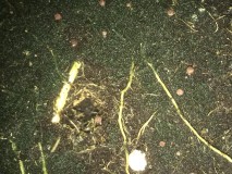 8BC897CF-47FE-4246-8029-20FCA51DC35B