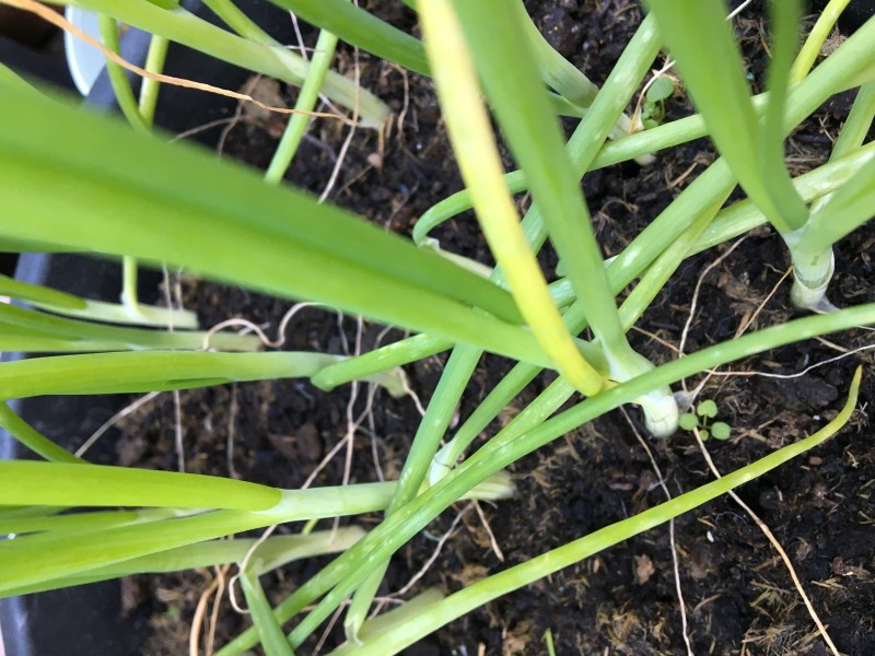 7FA6556B-A101-4BA5-AC83-927549161EBE