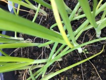 7FA6556B-A101-4BA5-AC83-927549161EBE