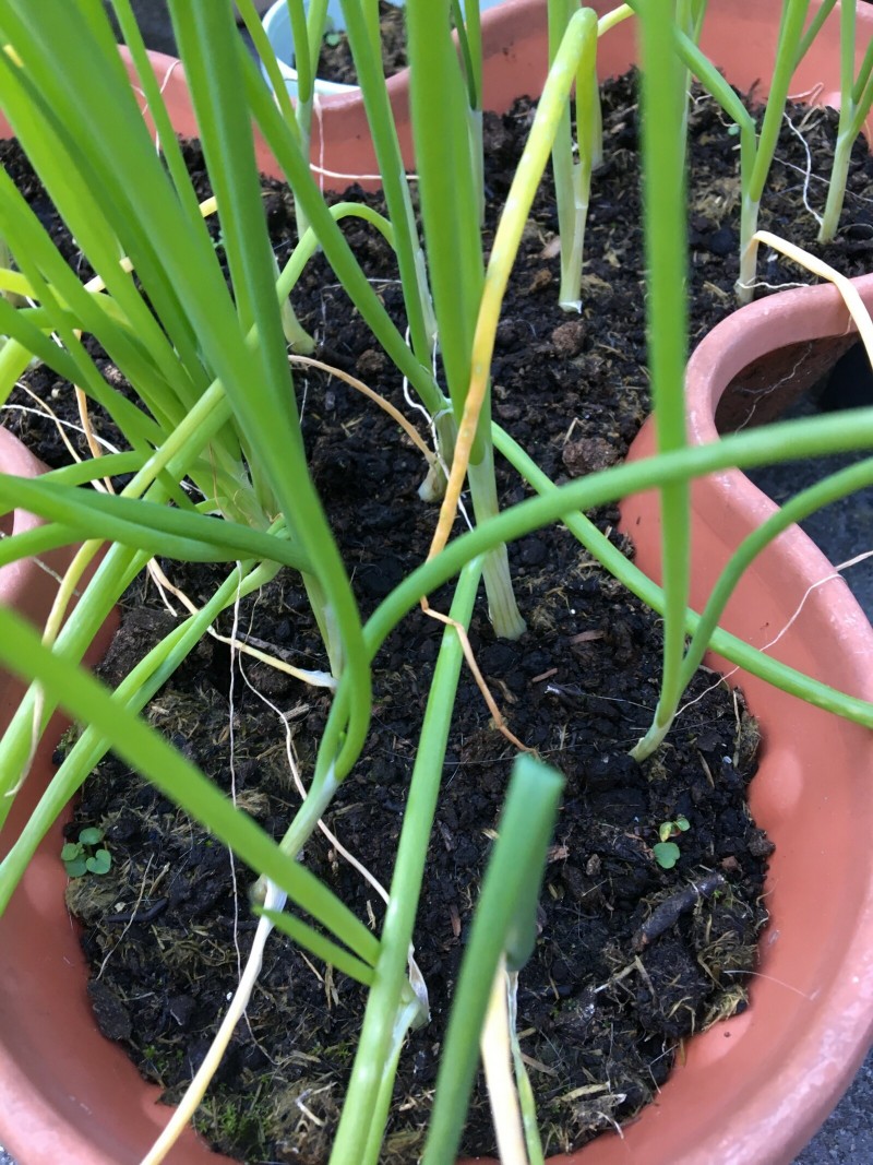 600151FA-E114-44A6-A4CF-9568BC3E800A