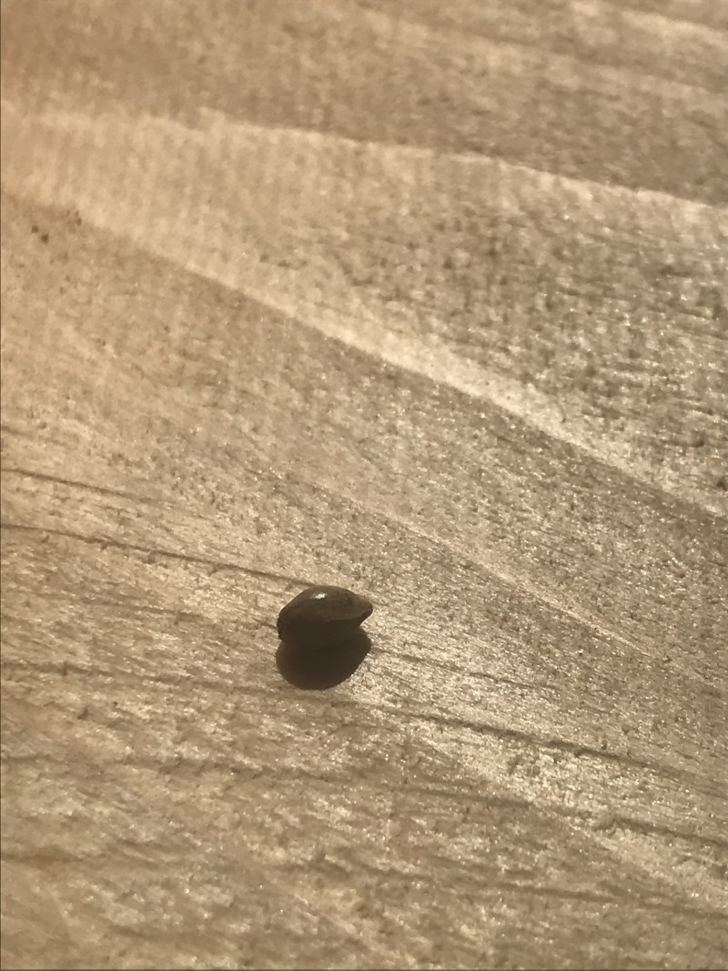 F9B2A74A-CEE1-48C1-856F-3865FB74560D