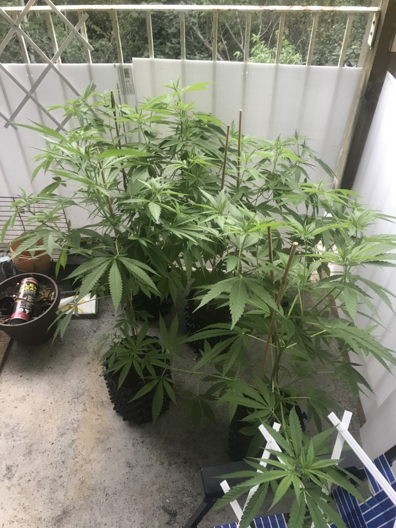 437E5DAB-DD0F-4AC7-86BA-AD16CD01D1C4