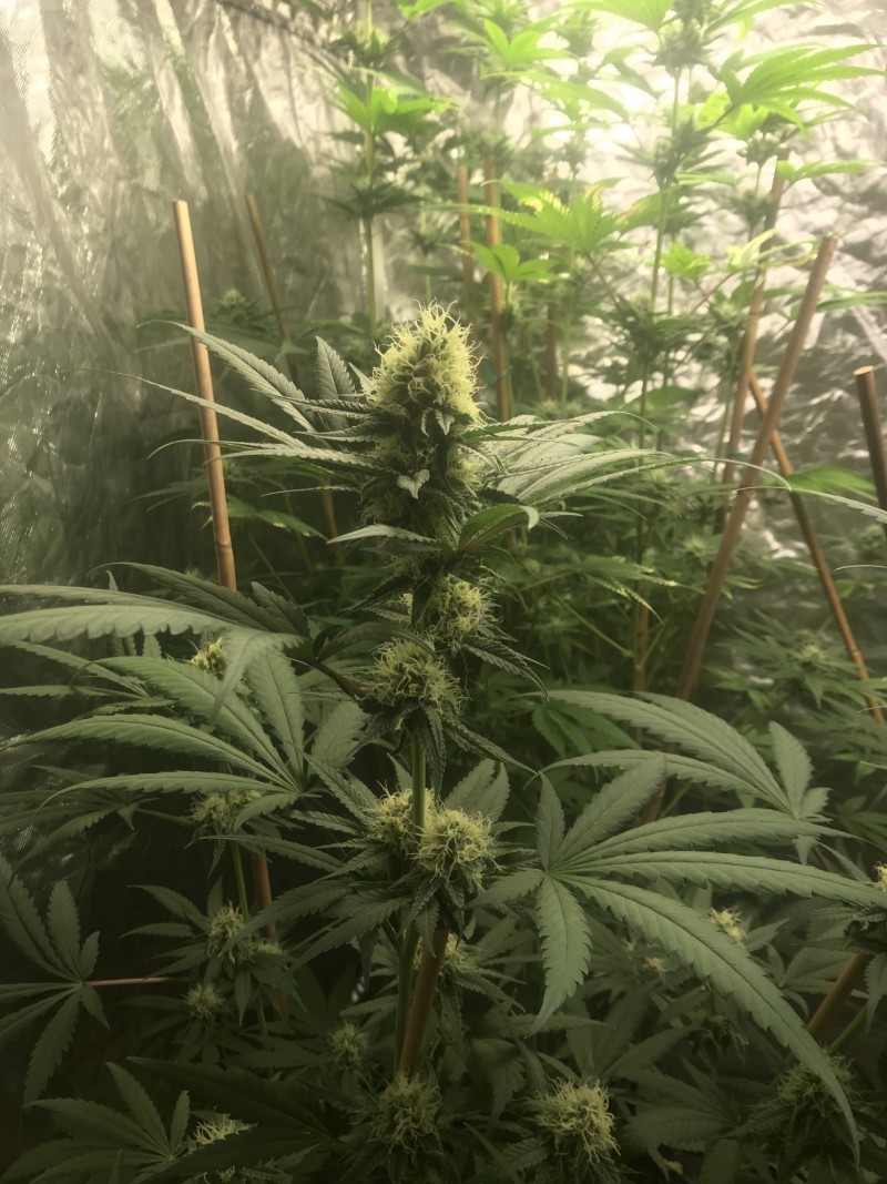 8F556BD4-37FD-474F-A49A-8255EEC94F21