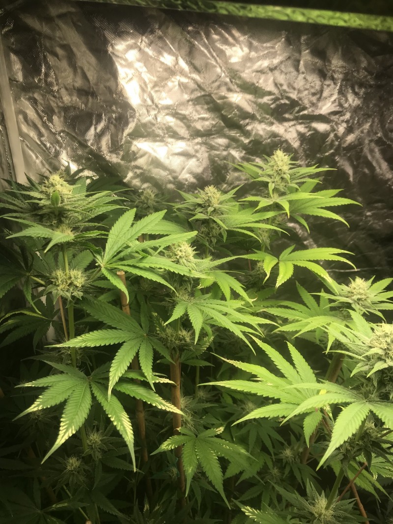 FA147835-585C-476F-8F07-92DC275D5DD4