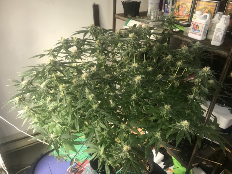 C50E5C66-CAAD-469B-9D89-132EDE7BE261