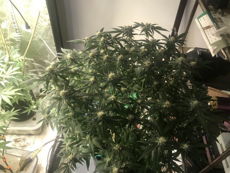 3E72EA2A-57BF-45D4-9818-DF097F3F06D6