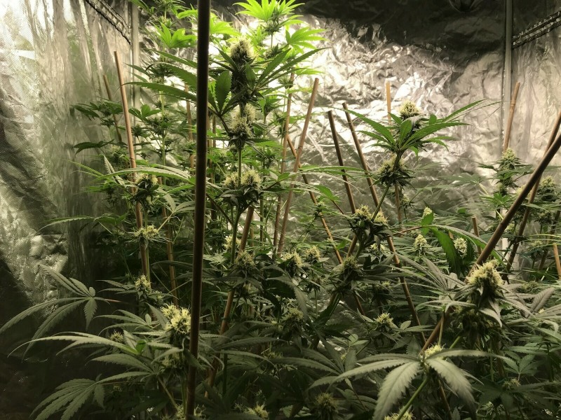 E01433AA-F00A-4E85-8A75-07FA1FA1372D