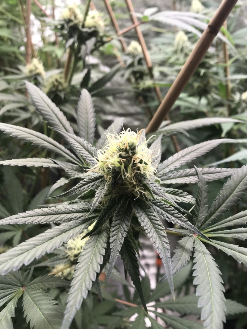 9D0CAA12-0A24-4D49-8344-9450AEFBD86C