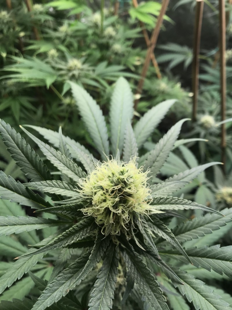 FDB37C88-D961-46A6-ACDB-1C28B14C9763