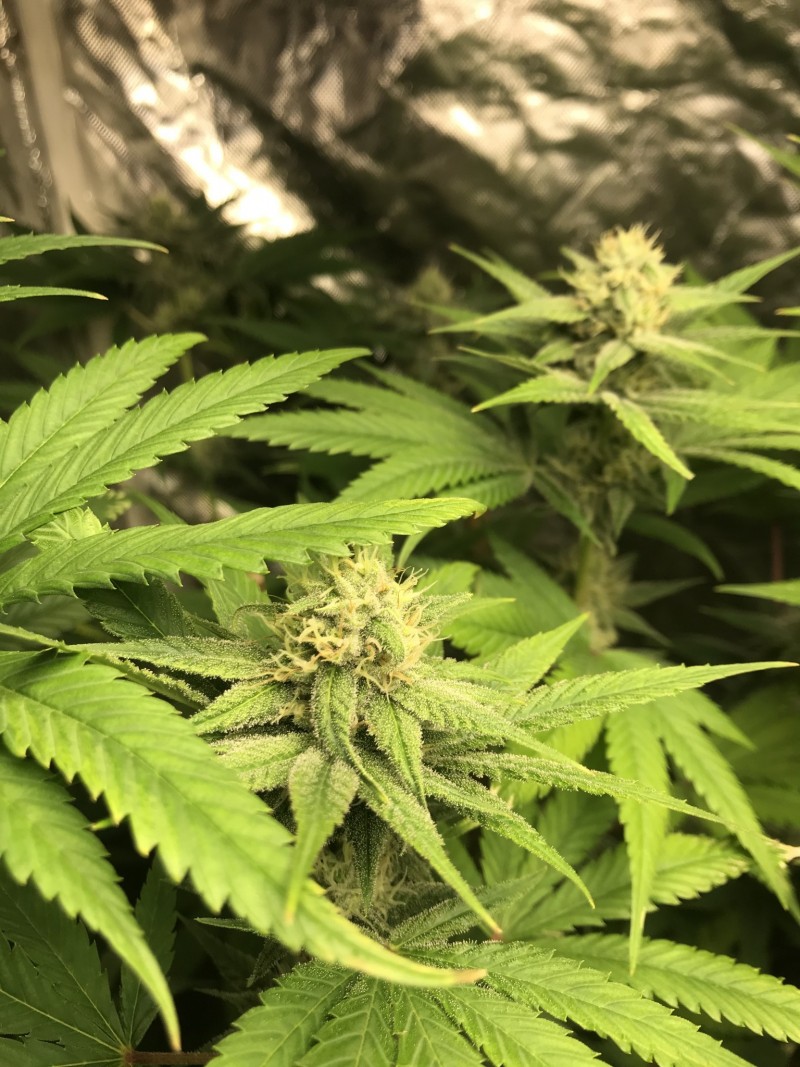 BF965CD2-A06A-4100-8CDF-91286FE4C04F