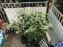 D89CA5ED-E8F1-4778-9665-B6738BB5A2D9