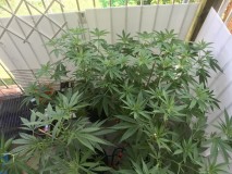 03CE643E-D4A0-4770-828A-CF3130F9403A