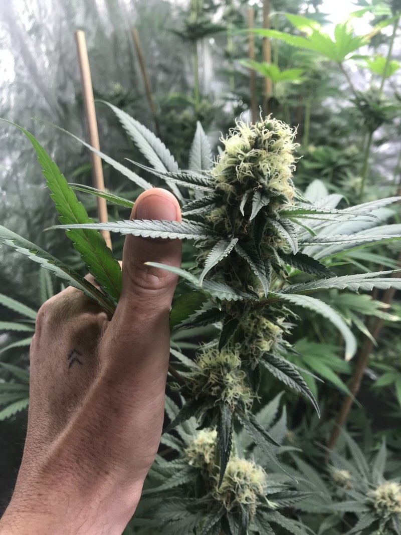 4BD04B62-6707-4AD6-82A7-4B6167BAB2D6