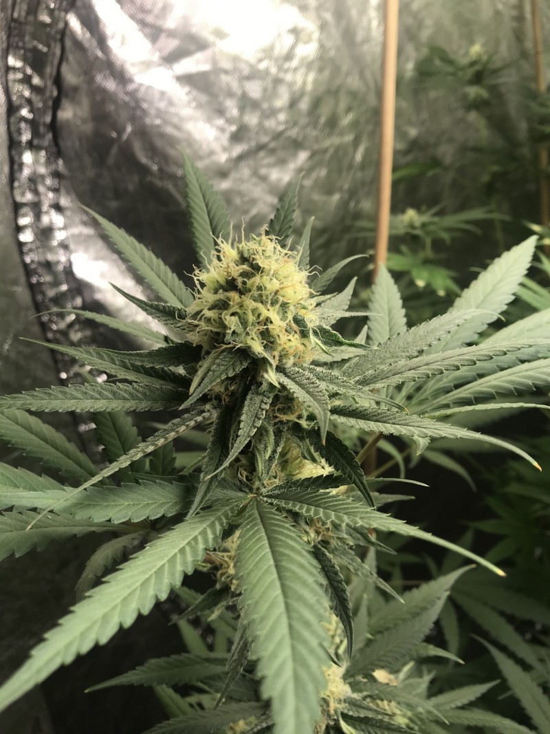 B489B4D1-0AB1-4CA7-98DE-F94A3875CAF8