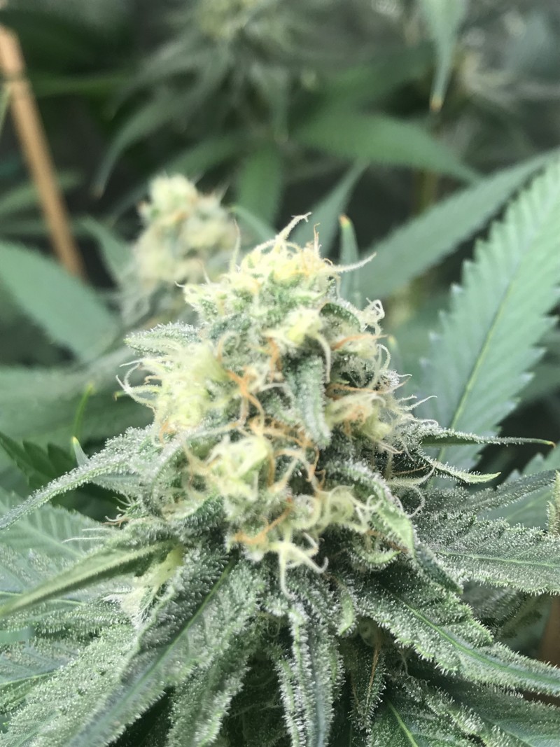 3C13481A-F2D5-499D-8AE1-AA83F4A06188