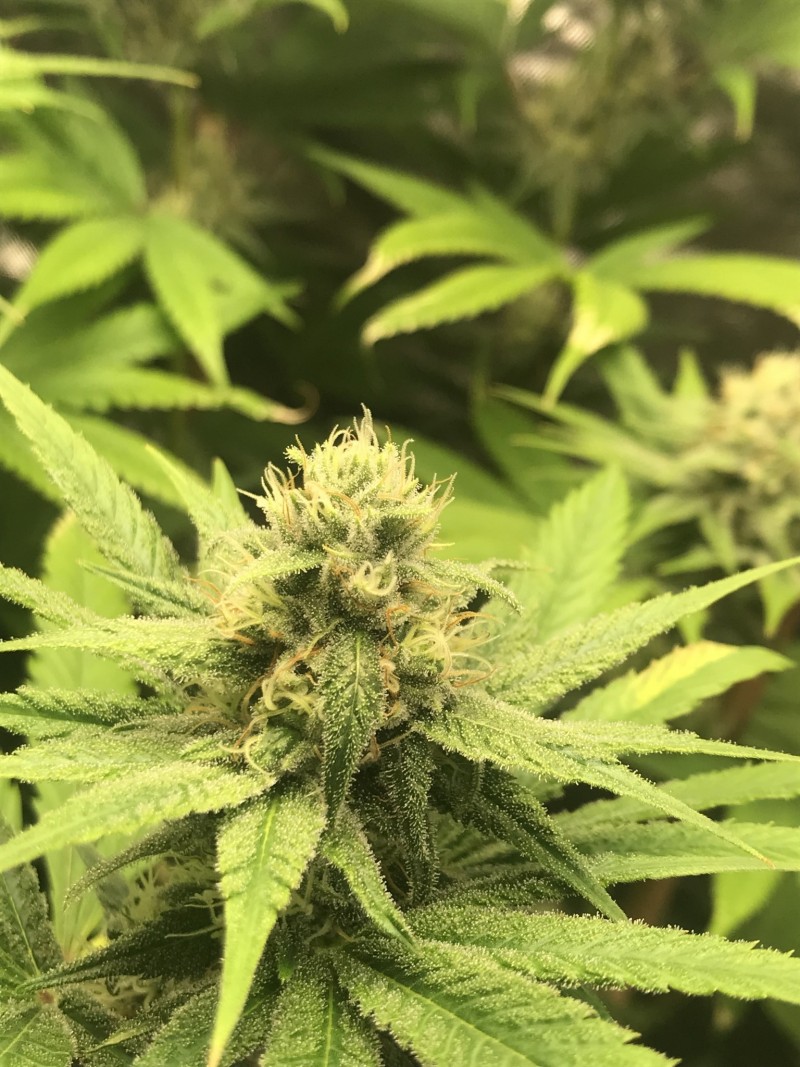 C6807B9C-0EC2-4156-B2BA-AAEE7D3D62BD