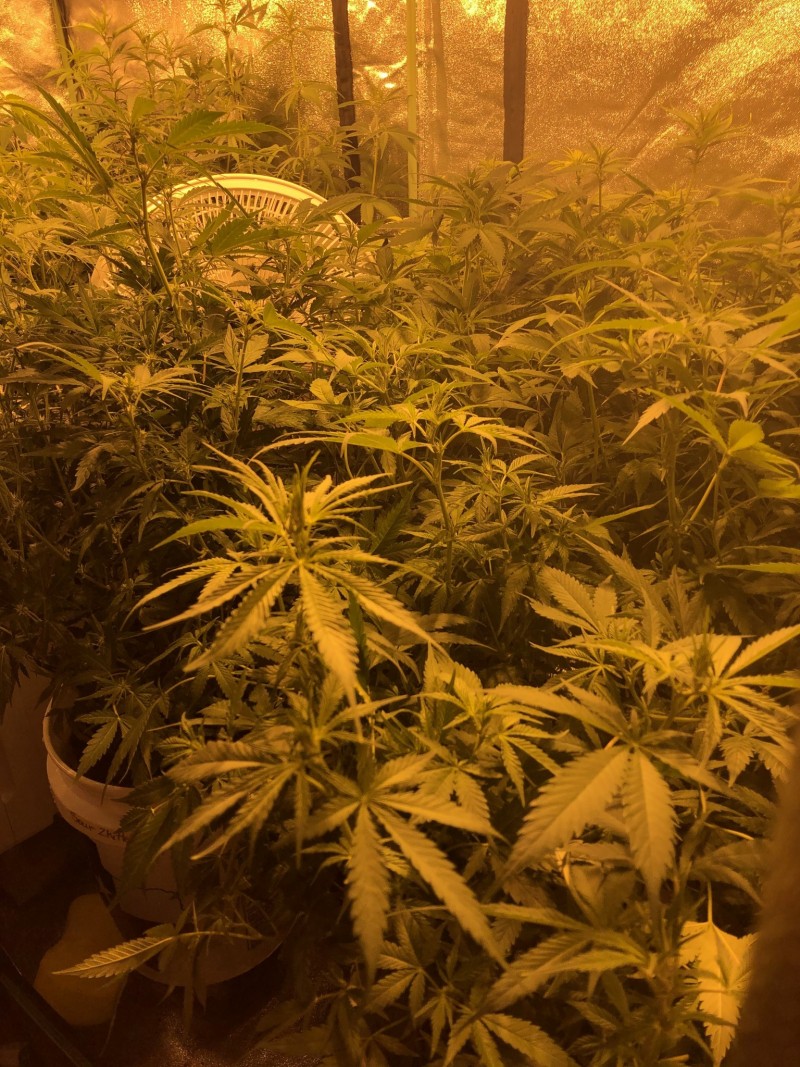 23A52B17-21E9-4A4C-B243-0833E73BD0FA