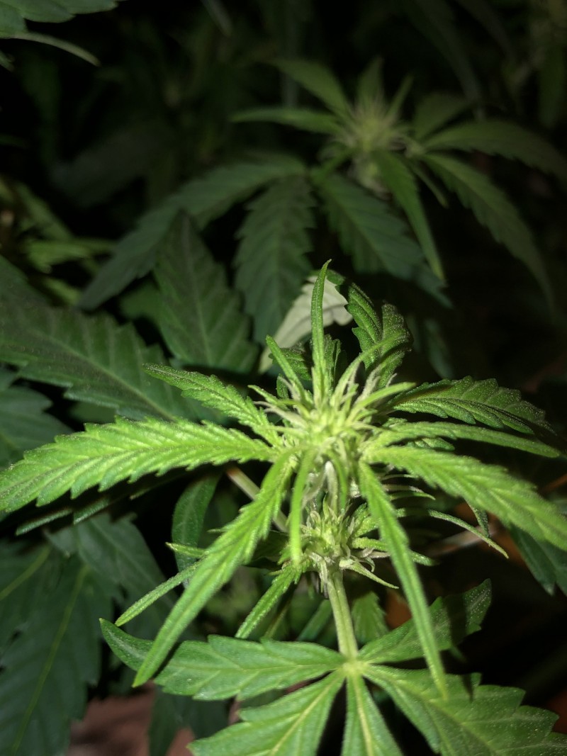 E23D4BA7-0A20-4315-9132-112ADBCCF291