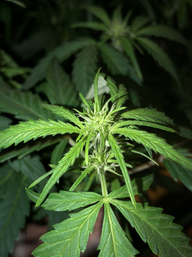 581A8E26-163D-46BE-982C-AA95EF1E6D19