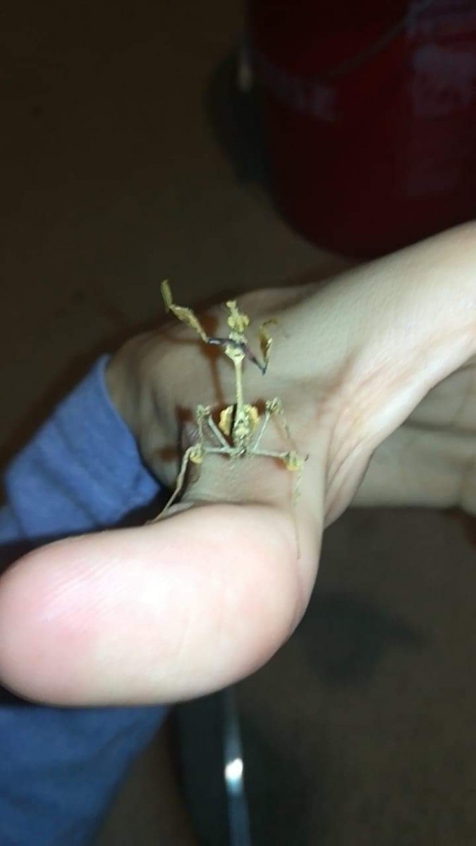 F96DB919-540A-492E-ABFD-CFFE44529CED