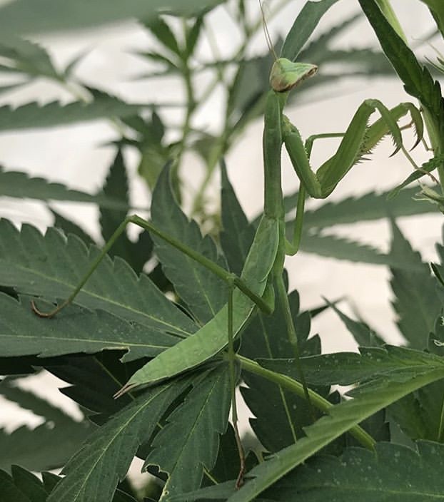 423C410B-F3F8-4FC6-B0EB-38829D2D2CC2