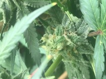 3CC8B370-4CE4-4236-98DF-B7C5C9699C75