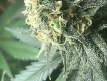 E670EAEE-DBC0-4082-9671-3090BE88CB24