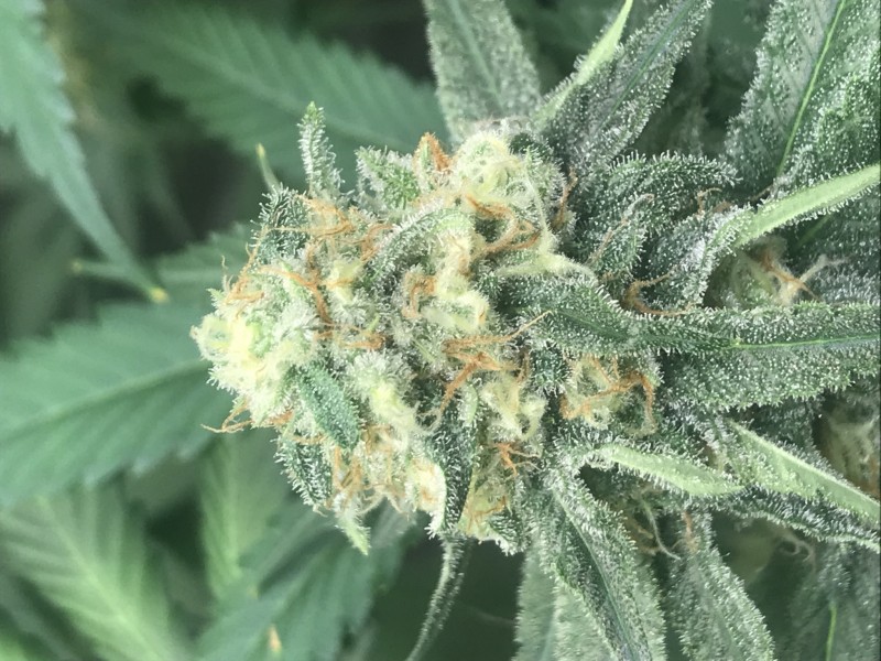 468E0386-80C1-4326-8A9B-8594443D6BE0