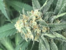 468E0386-80C1-4326-8A9B-8594443D6BE0