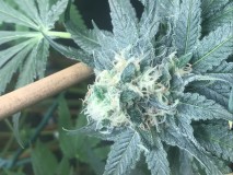 085B0274-6D5D-465B-B064-6D58E88E1AEF