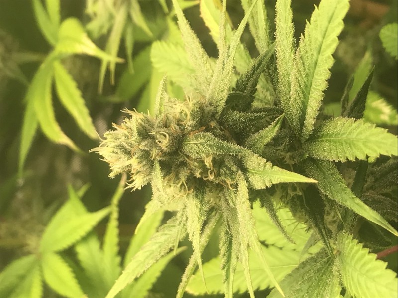 FDE1B838-E6D3-44AB-805F-DA35CE80C80E