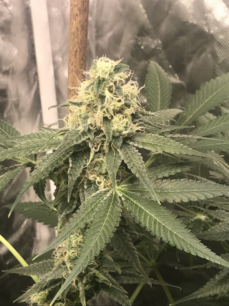 107252D3-700F-47A0-AA99-F4AD978A8B96