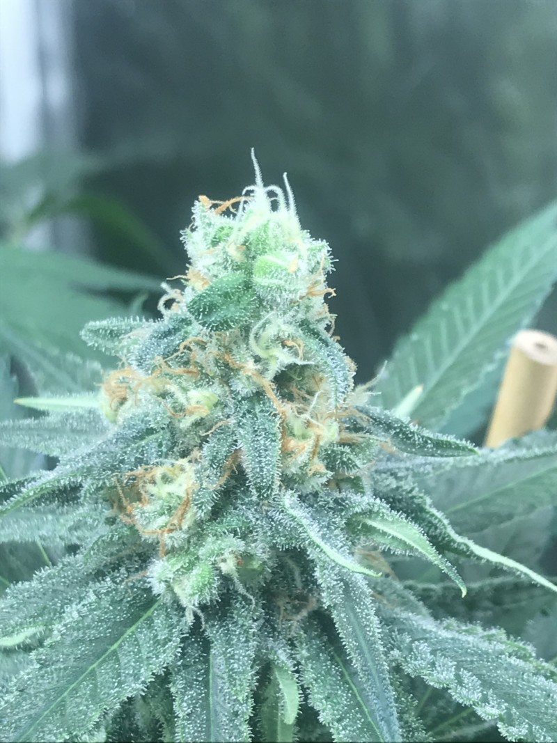 016B2651-864B-4028-A83E-27CA809B5A80